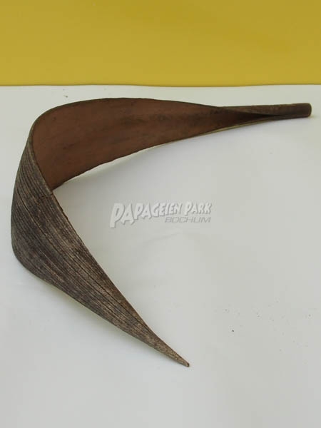Palmblatt 40cm