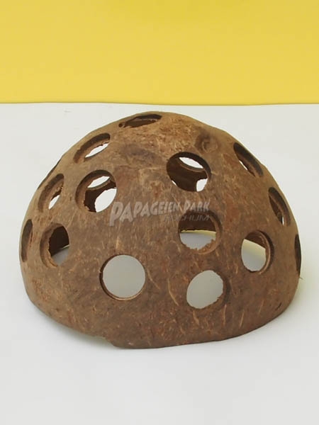 1 2 Kokosnuss Schale gelocht