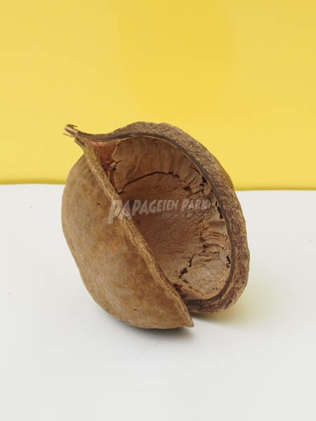 Buddha Nuss natur &Oslash; 9cm