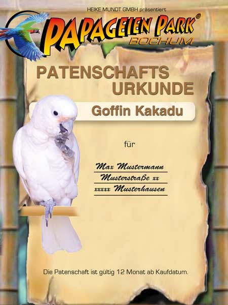Spende Patenschaft f&uuml;r Goffinkakadu LOLA 12 Monate