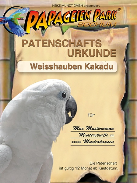 Spende Patenschaft f&uuml;r Weisshaubenkakadu BELLA 12 Monate