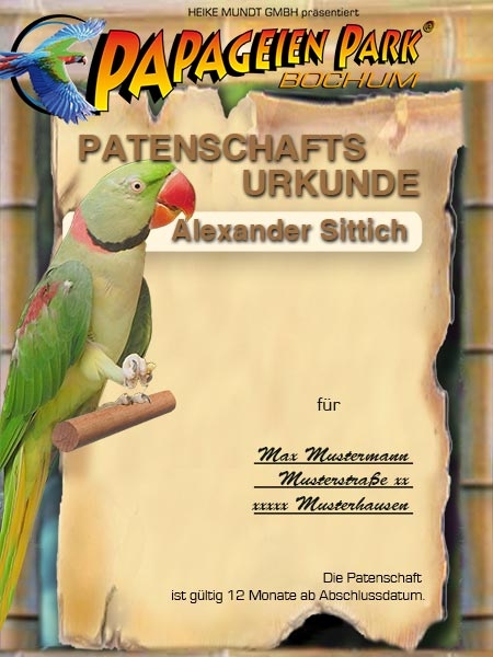 Spende Patenschaft f&uuml;r Alexandersittich ALEX 12 Monate