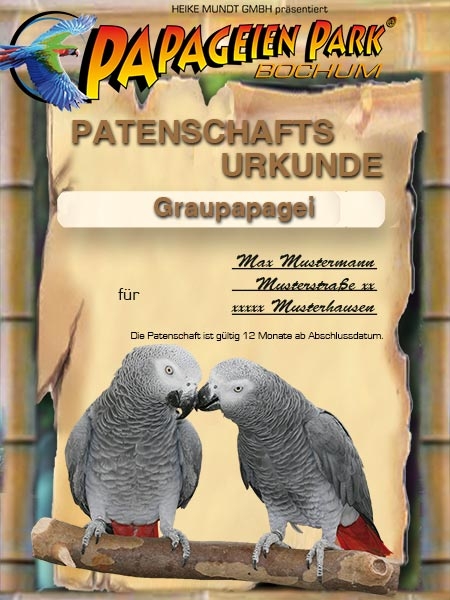 Spende Patenschaft Graupapagei EGON PAUL 12 Monate