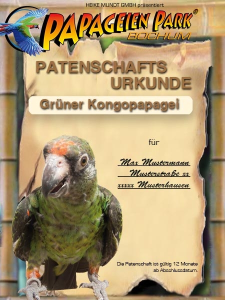 Donation Sponsorship Red fronted parrot JULIUS JULIA 12 months