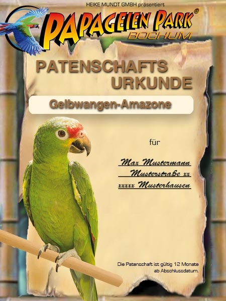 Spende Patenschaft Gelbwangenamazone BEN 12 Monate