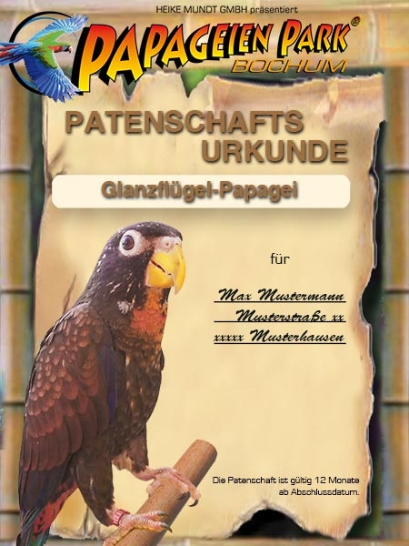 Spende Patenschaft Glanzfl&uuml;gelpapagei ROSWITA 12 Monate