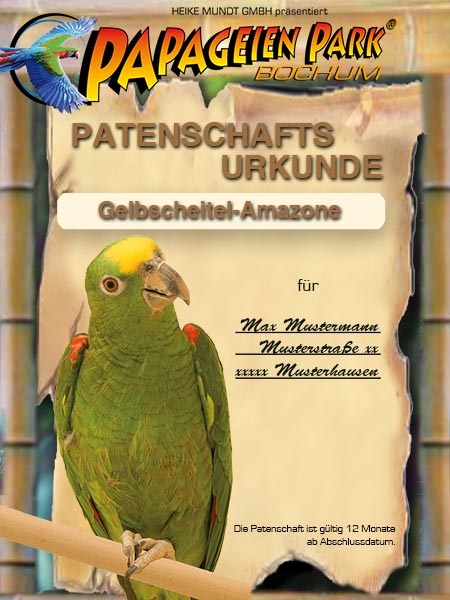 Spende Patenschaft Gelbscheitelamazone BERTA 12 Monate