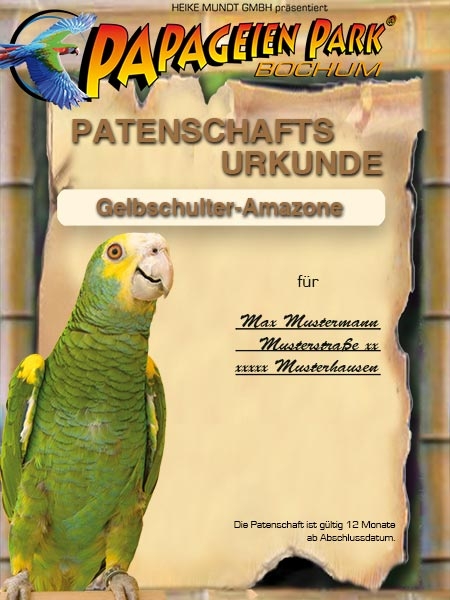 Spende Patenschaft Gelbschulteramazone PAULA 12 Monate