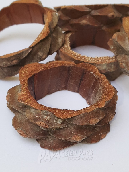 6 pcs Pinus Martima rings &Oslash; 4 5 cm