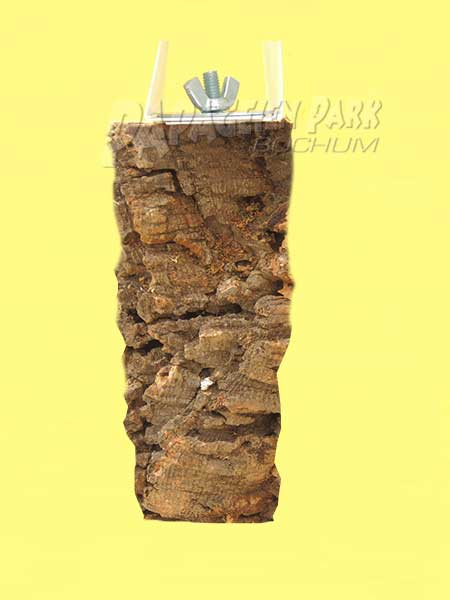 Screw on seat cork plate XS 5x11cm stainless steel