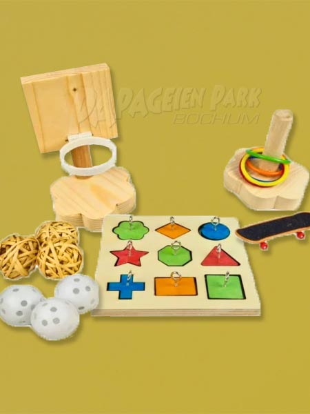 Papageien Agiluty Trainingsset
