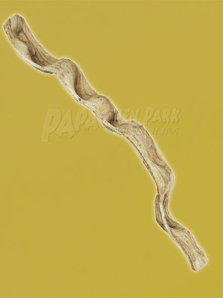 Sitzast Liane 60 70cm