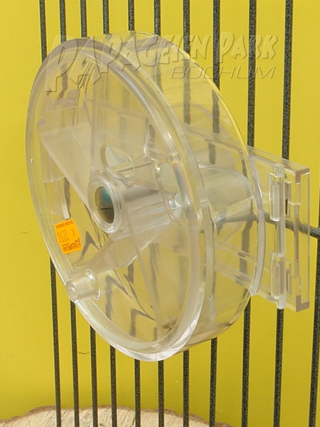 Intelligenzspielzeug Foraging Rotor