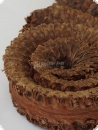 Palm Schnecke - 6 cm - 3 Stück