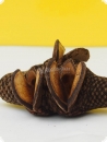 Banksia Menziesii Zapfen natur - 10 cm