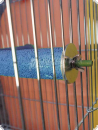 Corner perch