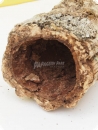 Kork Röhre natur 10cm - Ø 6 cm