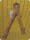 Red-Pepper pearch 20 cm