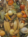 Heike Mundts Agaporniden Kräuterfutter 500g