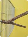 Anschraub-V-Korkast 20-24cm