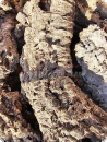 1 Kg Korkstücke
